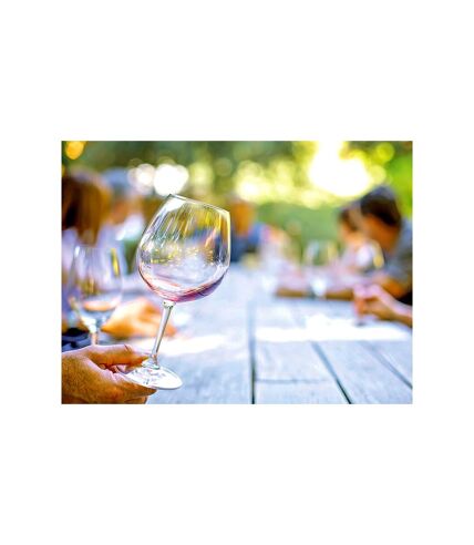 Dégustation passionnante de 11 vins biologiques du Domaine de Sauzet au sud de Montpellier - SMARTBOX - Coffret Cadeau Gastronomie