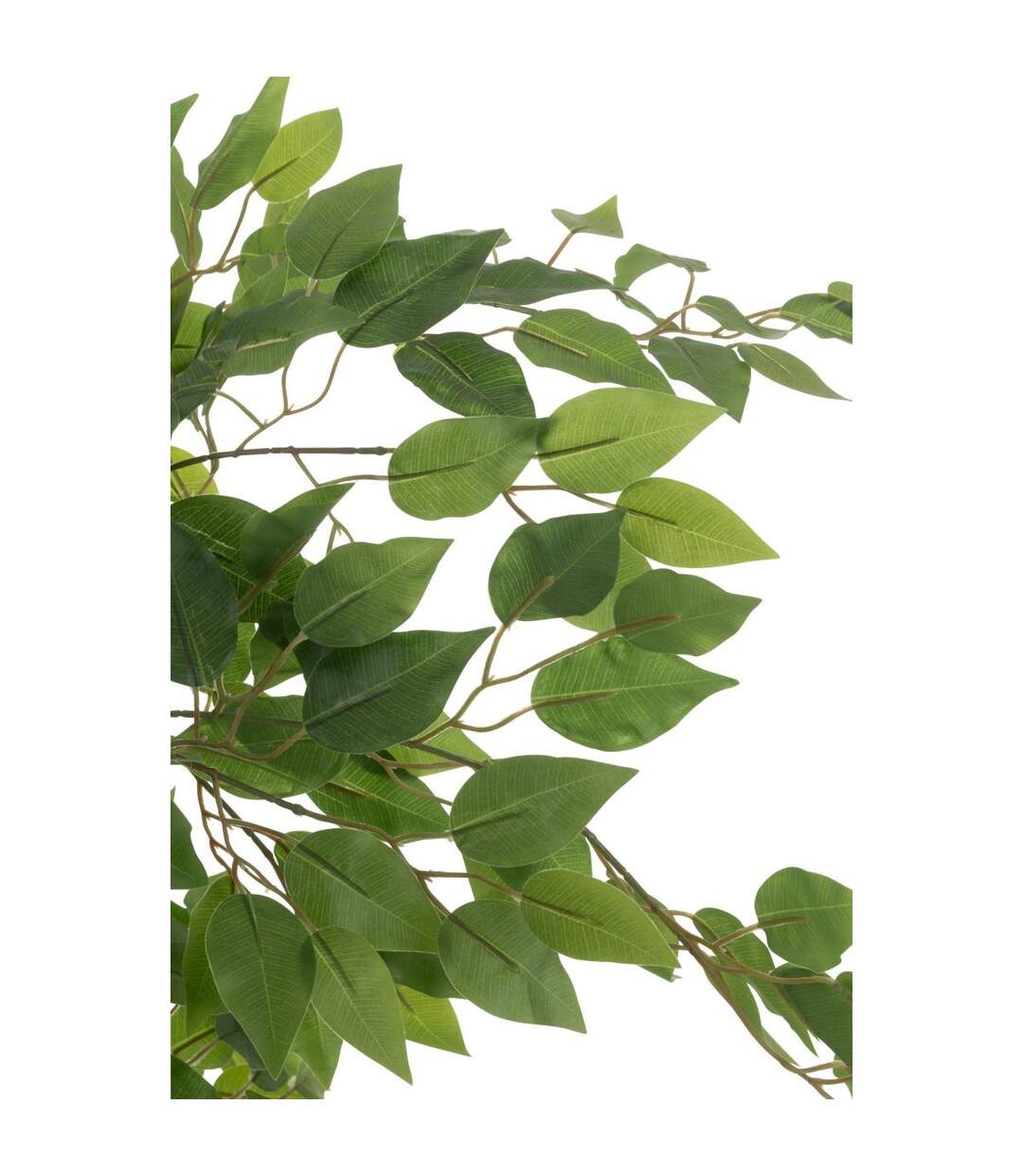 Plante Artificielle en Pot Ficus 150cm Vert-2