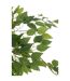 Plante Artificielle en Pot Ficus 150cm Vert-2