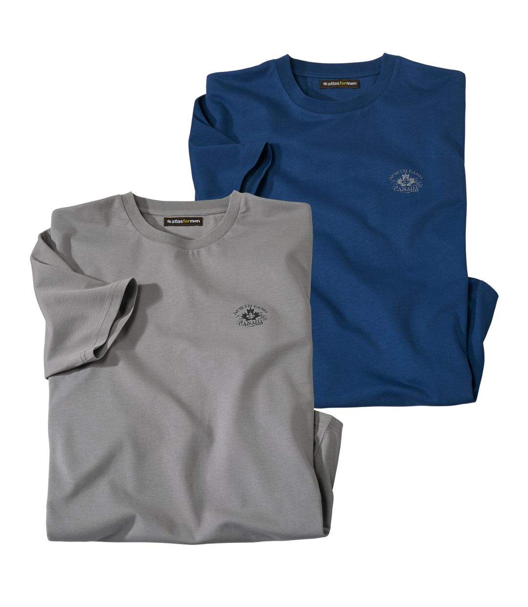 Men's Pack of 2 Casual T-Shirts - Blue, Gray Atlas For Men
