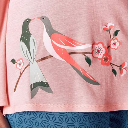 Pyjama rose