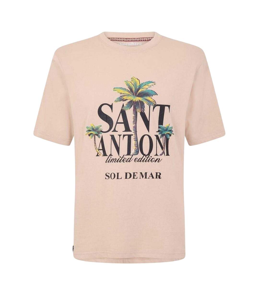 Mens Damside Regular T-shirt Dark Stone Threadbare-1