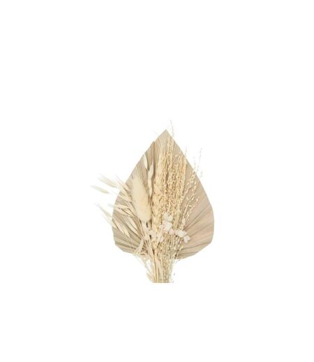 Mini Bouquet de Fleurs Naturelles Seav 30cm Beige