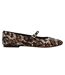 Ballerines Motif/style Imprimé Léopard Brissa Femme Beige Noir Steve Madden-3
