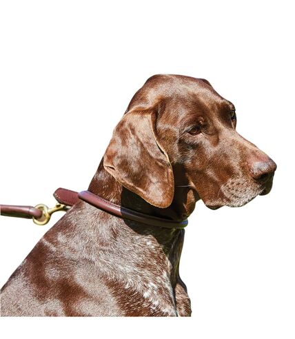 Weatherbeeta Rolled Leather Dog Collar (Brown) (M) - UTWB1256