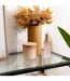 Spray d'Ambiance en Verre Sana 100ml Terre des Merveilles-2