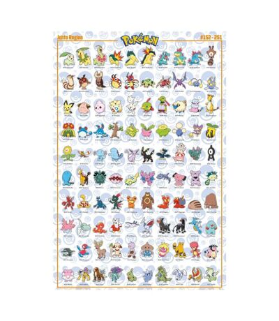Pokemon - Poster JOHTO (Multicolore) (Taille unique) - UTTA7726