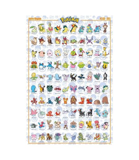 Pokemon - Poster JOHTO (Multicolore) (Taille unique) - UTTA7726