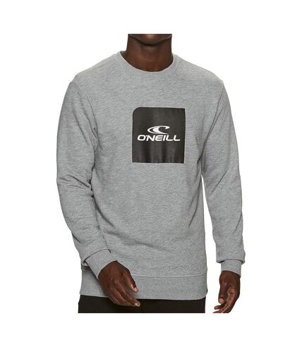 Sweat Gris Homme O'Neill Cube - L