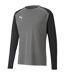 Maillot De Gardien De But Manches Longues Teampacer Homme Gris Argenté Puma-2