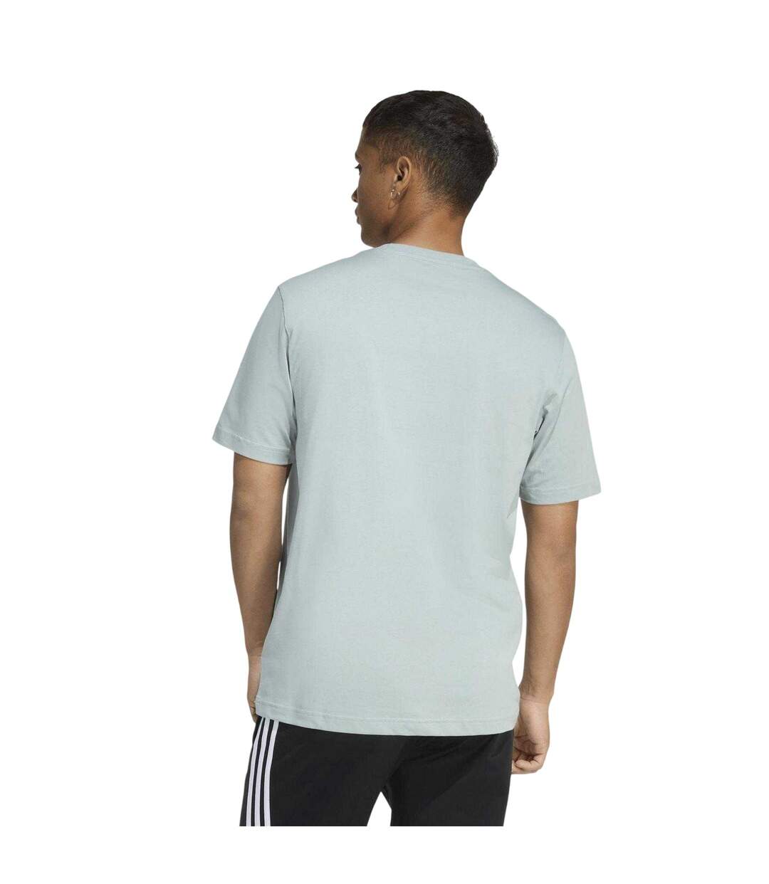 Mens Graphic Logo T-shirt Green Adidas-3