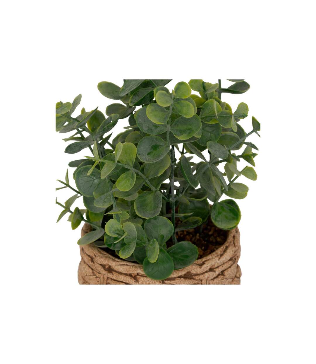 Eucalyptus Artificiel en Pot Jaye 27cm Vert-2