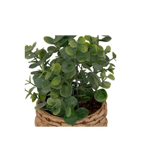 Eucalyptus Artificiel en Pot Jaye 27cm Vert