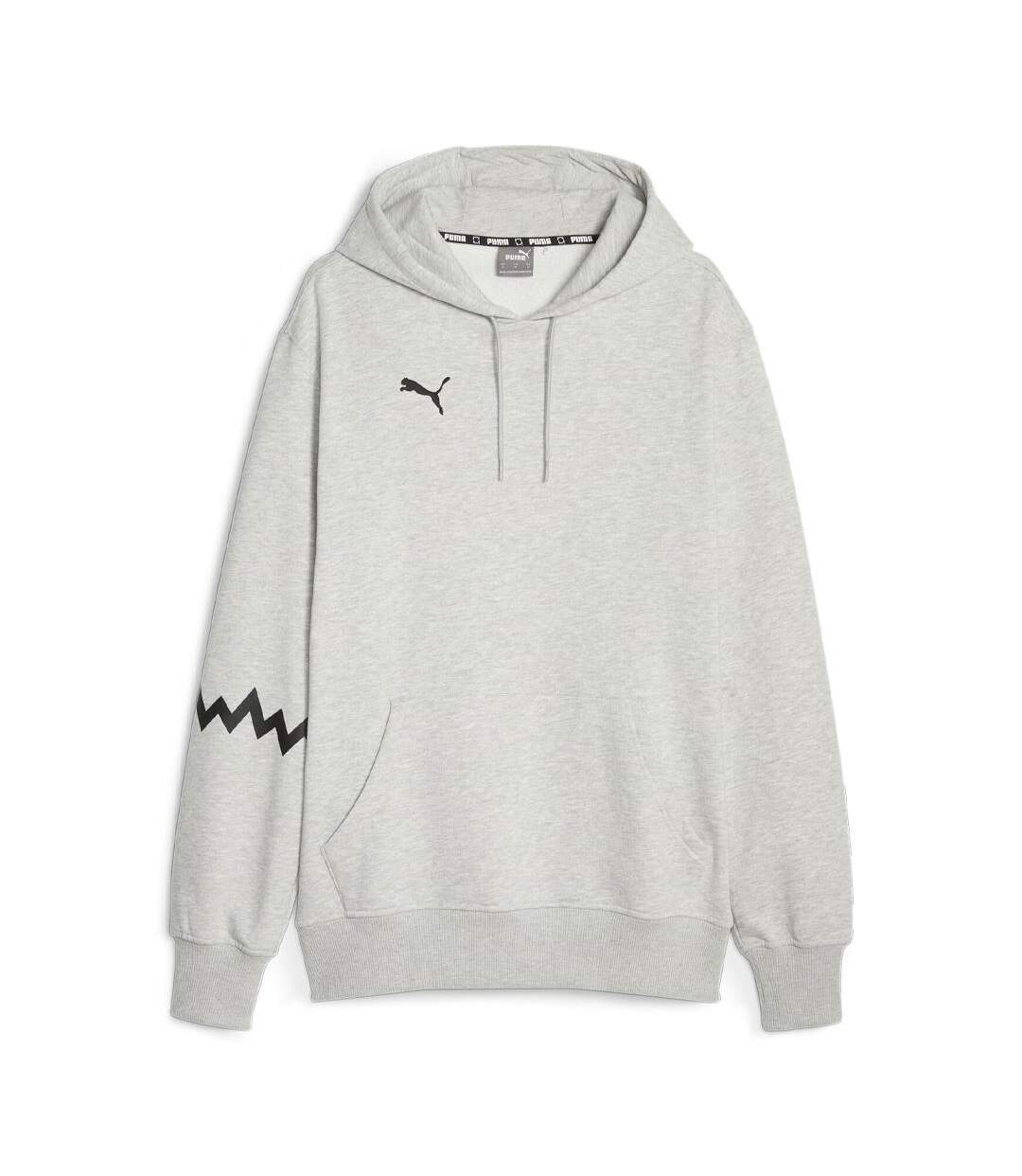 Sweats gris puma hoops team hoodie [6995b81d5b909]-1