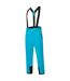 Dare 2B - Pantalon de ski ACHIEVE - Homme (Bleu sarcelle foncé) - UTRG5560