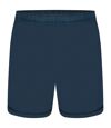 Dare 2b Mens Surrect Lightweight Shorts (Orion Grey) - UTRG4526