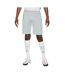 Short Academy Homme Blanc Gris Nike-1