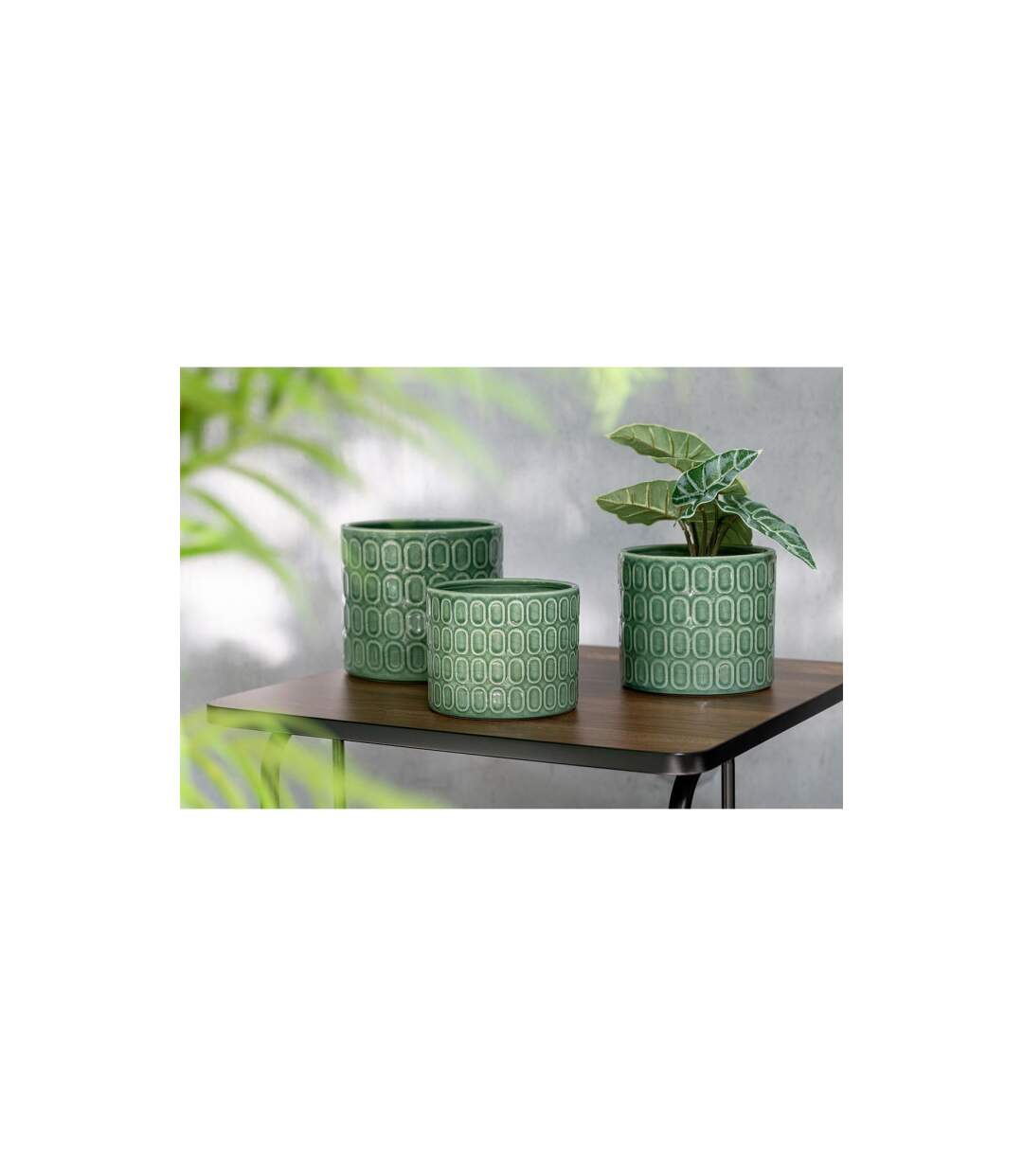 Cache-Pot Déco en Céramique Folny 17cm Vert-2