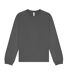Unisex Adult Heavy Long-sleeved T-shirt Asphalt Sabella-1