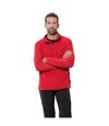 Stedman Mens Active Half Zip Fleece (Scarlet Red) - UTAB291