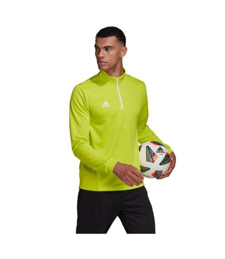 Sweat Entrada Homme Vert Adidas
