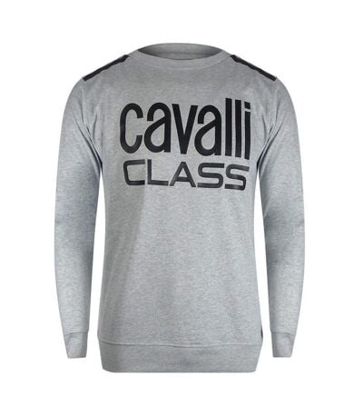 Sweat Homme Gris Chiné Cavalli Class
