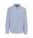 Mens Checkerboard Button-down Shirt Blue Check Trespass-2