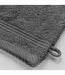 Lot de 2 Gants de Toilette Tendresse 15x21cm Anthracite-3