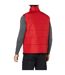 Regatta Mens Access Insulated Bodywarmer (Classic Red/Black)