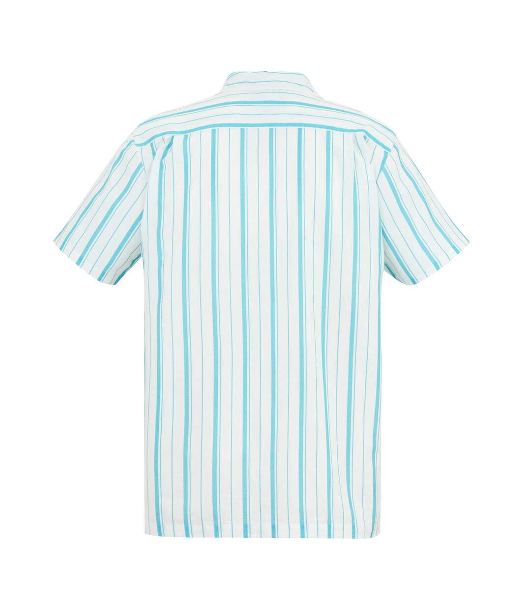 Mens Hadlin Shirt White Nordic Blue Regatta-3