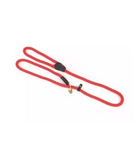 Rope leather dog slip lead one size red Digby & Fox