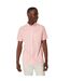 Chemise homme rose Maine