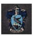 Sweat Ravenclaw Homme Anthracite Harry Potter-2