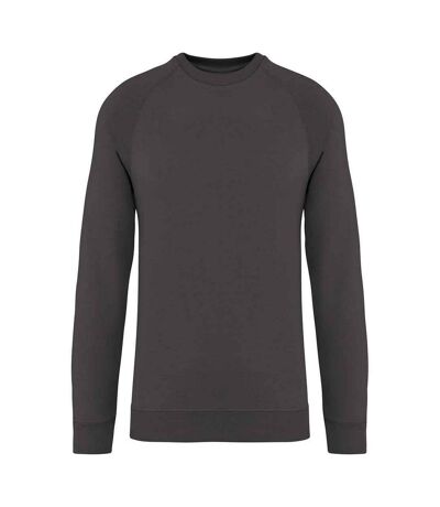 Native Spirit - Sweat - Adulte (Gris foncé) - UTPC6798