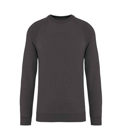 Native Spirit - Sweat - Adulte (Gris foncé) - UTPC6798