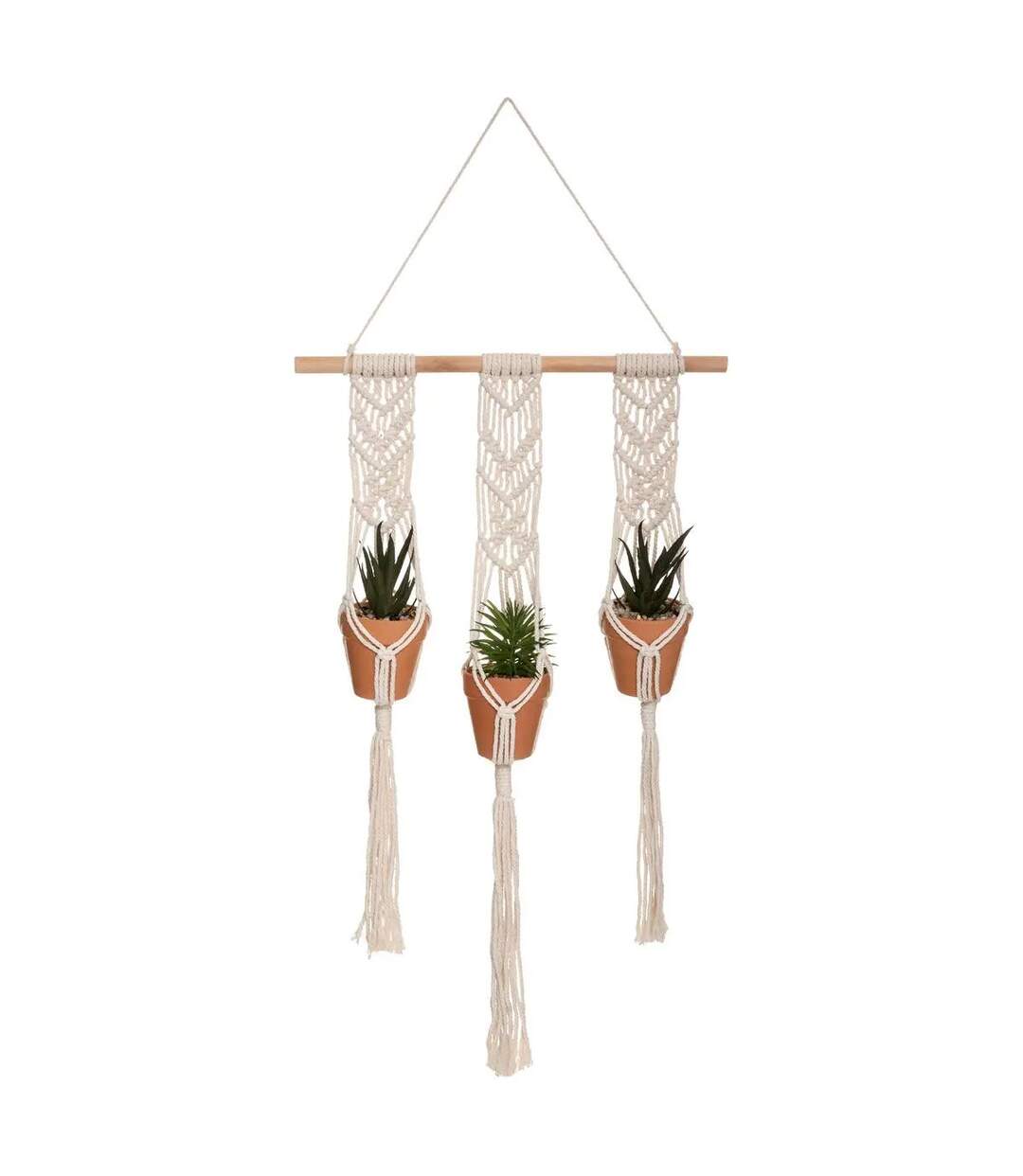 Lot de 3 Plantes Suspendues Hacienda 68cm Ivoire-1