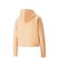 Sweat à Capuche Corail Femme Puma Cropped Metallic - L