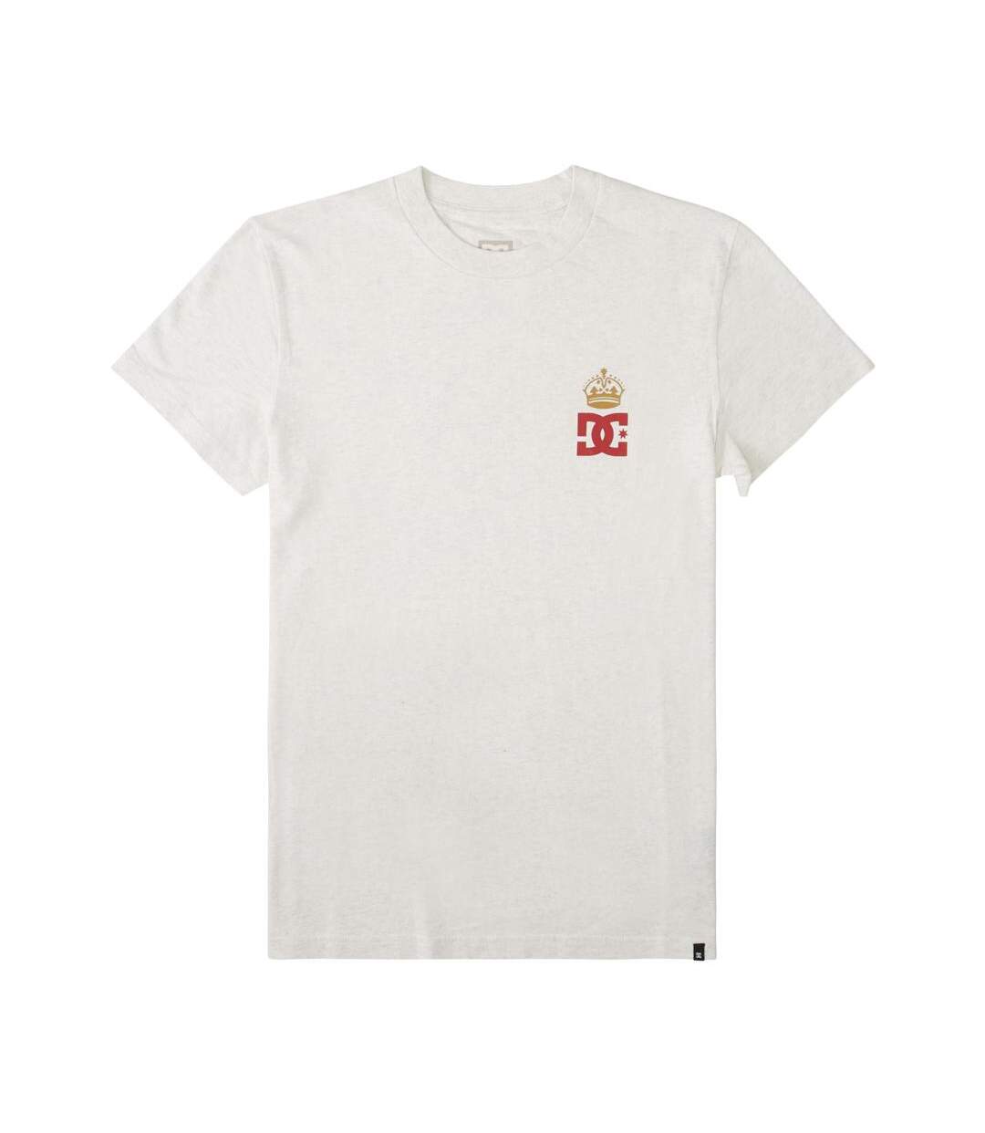 T-Shirt gris homme dc shoes hills-1