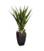 Palmier Artificiel en Pot Agave 73cm Vert-1