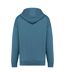 Unisex adult oversized hoodie adriatic blue Native Spirit-2