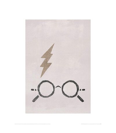 Harry Potter - Imprimé THE BOY WHO LIVED (Gris) (80 cm x 60 cm) - UTPM6672