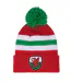 Ensemble Bonnet Et Écharpe Wales Adulte Taille Unique Rouge Blanc Vert Fan Originals-2