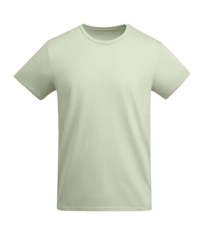 Roly Mens Breda Plain T-Shirt (Mist Green)