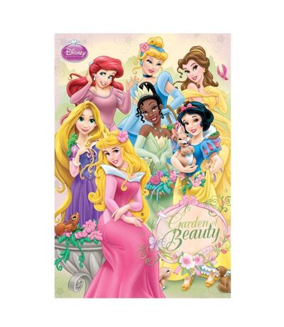 Disney Princess - Poster mural (Multicolore) (Taille unique) - UTNS8152