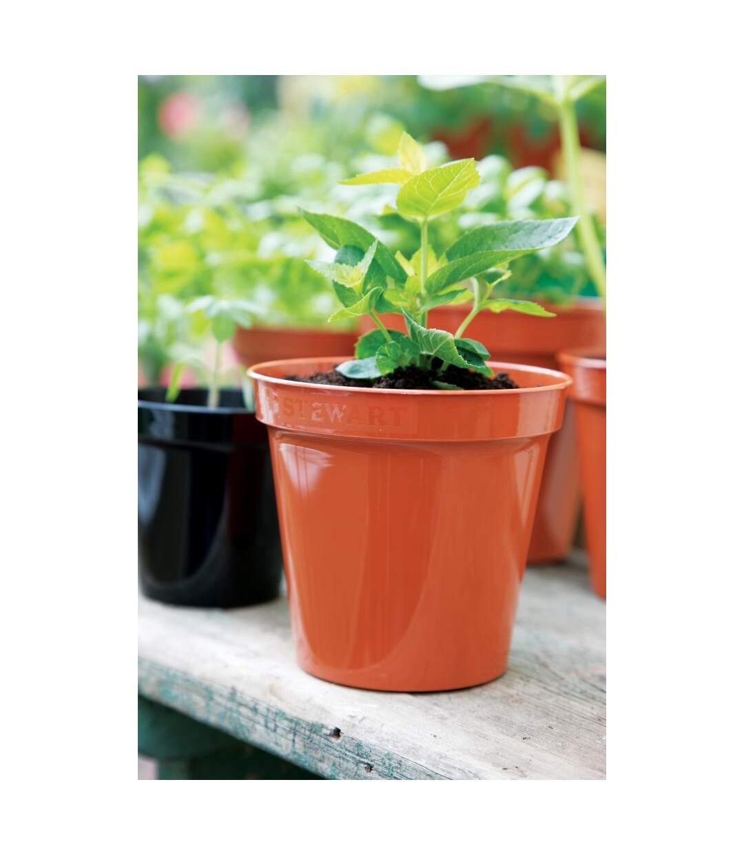 Plant pot 8in terracotta orange Stewart-2