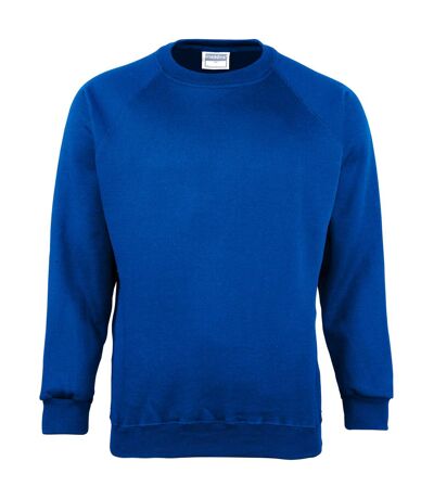 Maddins - Sweatshirt - Homme (Bleu roi) - UTRW842