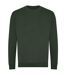 Awdis Unisex Adult Sweatshirt (Bottle Green) - UTRW7903
