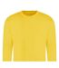 Sweat Adulte Jaune Awdis-2