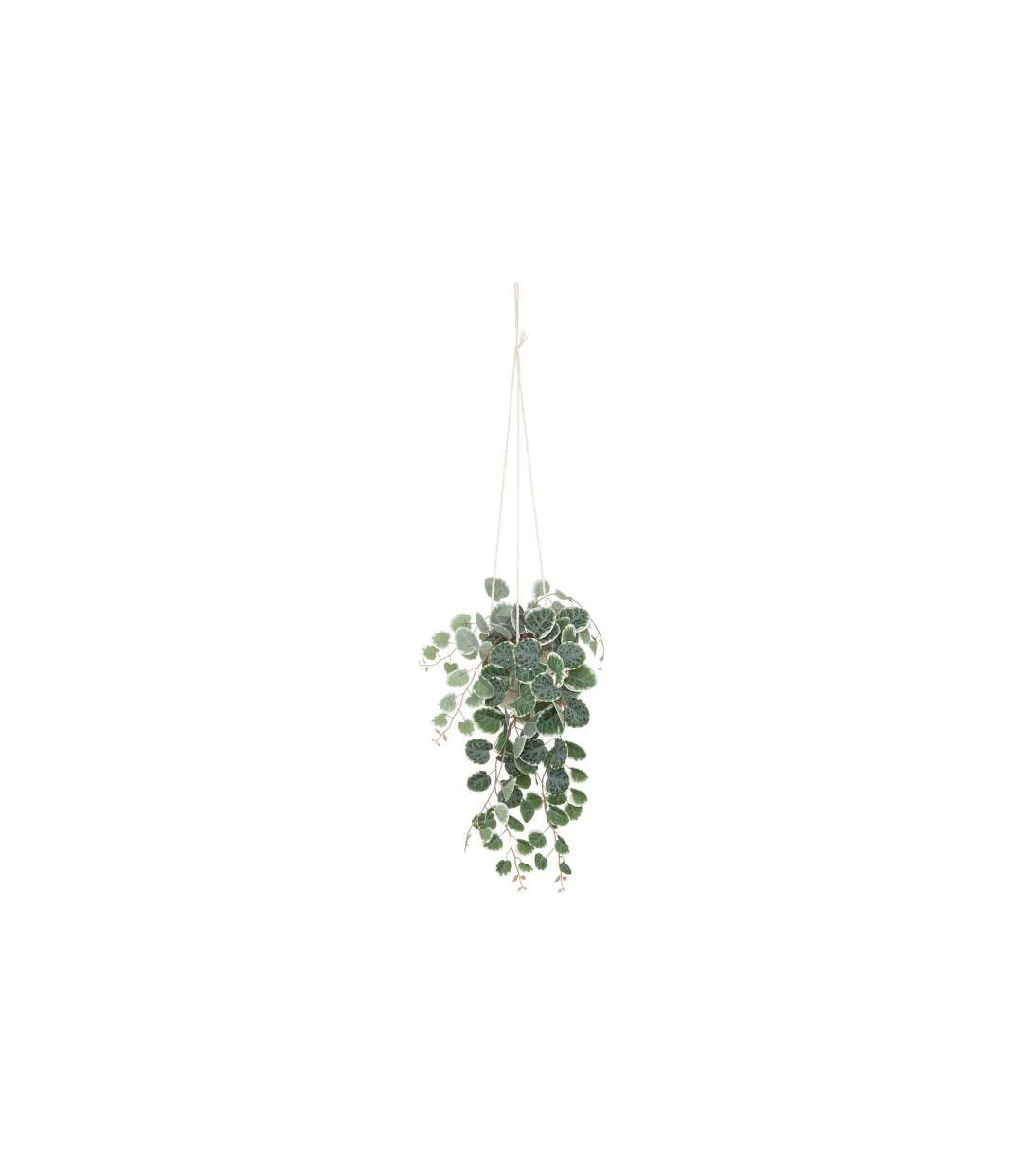 Plante Suspendue en Pot Lour 80cm Blanc & Vert-1