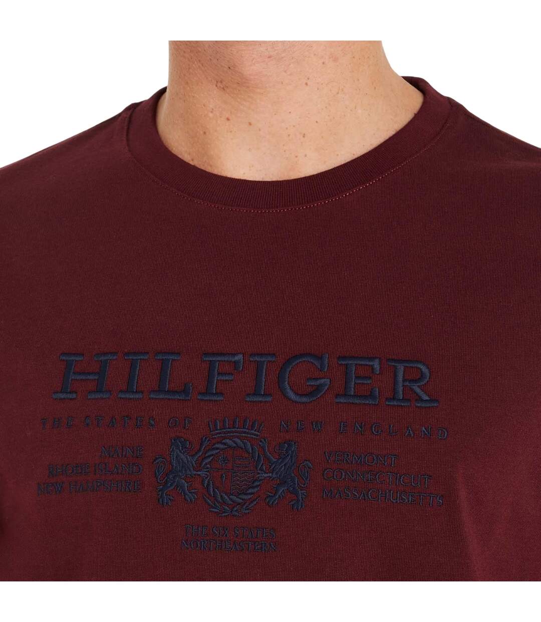 T-shirt Homme Violet Tommy Hilfiger-4
